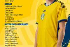 瑞典國家隊大名單最新 庫盧領銜伊薩克因傷落選