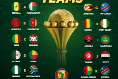 非洲杯四分之一決賽賽程 塞內加爾率先開戰